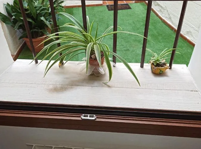 公寓 El Muro De Piedra